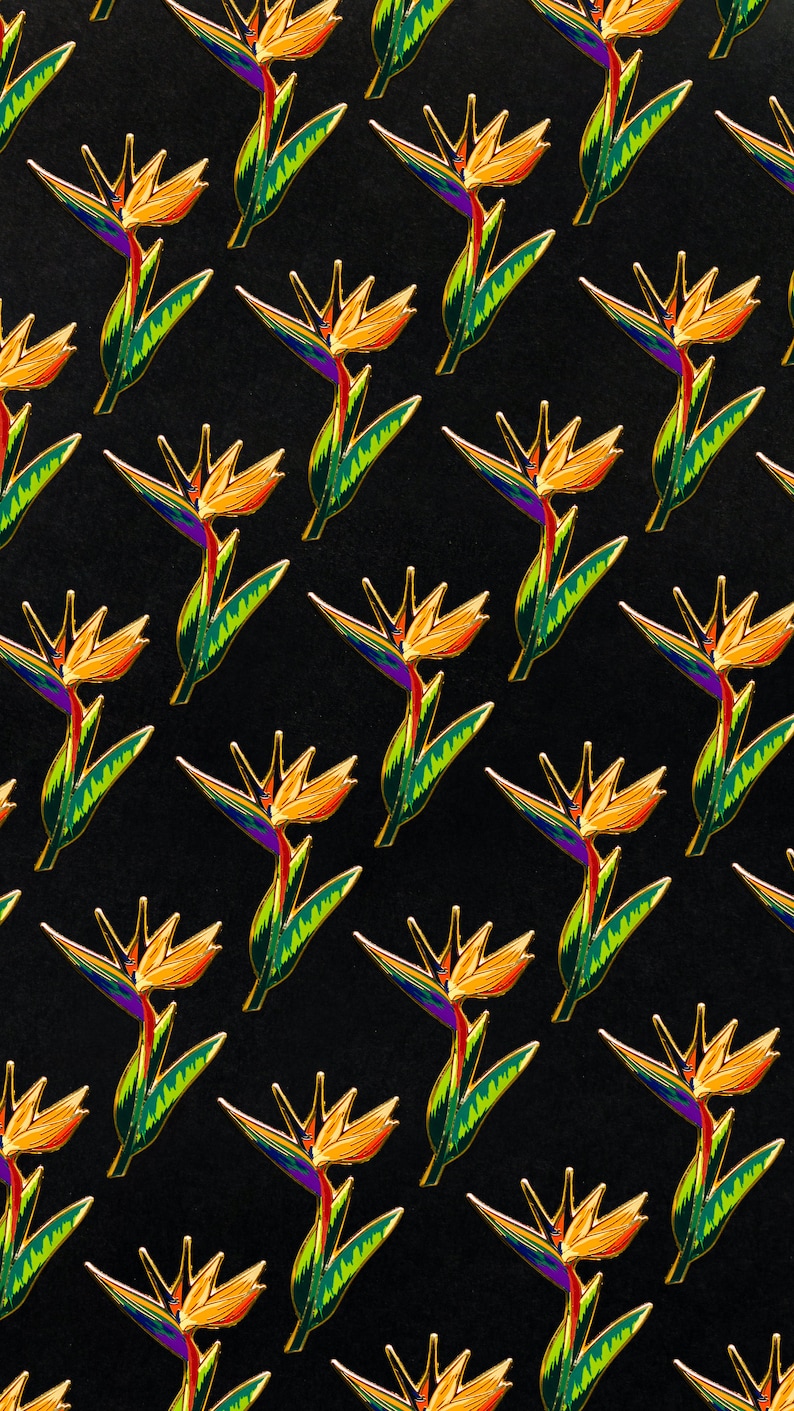 Bird of Paradise Plant Hard En - đánh giá và giá Paradise Jewelry & Watches Llc Photos