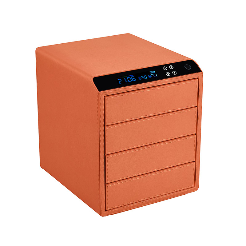 Smart Popular Jewelry Box Leat - đánh giá và giá Smartwatch